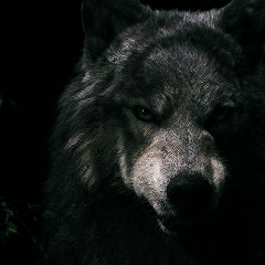 Ерулан Кокен, 27.09.1993, Алматы