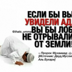 Батыр Есимбеков, 08.11, Алматы