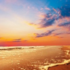 Кирилл Никоноров, 15.04.1982, Москва