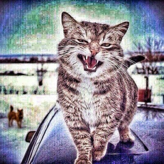 Влад Липатов, 17.02, Екатеринбург