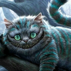 Андрей Бормотов, 17.12, Котлас