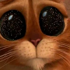 Фарход Акташский, 11.11.1970, Самарканд