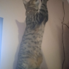 Екатерина Маркова, 08.07.1981, Зеленогорск