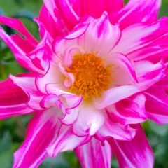 Сергей Петров