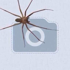 Даурен Сансызбаев, 27.09, Актау