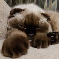 Наталья Киселева, 18.02, Москва