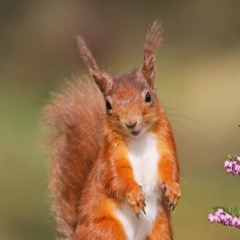 Наталья Козырева, 01.07, Москва