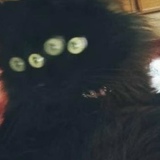 Бармалей Обмудов