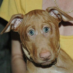 Елена Фаткулина, 13.08.1979, Санкт-Петербург