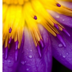 Ажар Садбаева, 12.08, Караганда