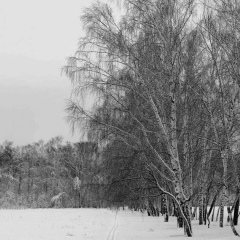 Руська Иванов, 29.07, Смоленск