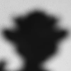 Богдан Романов, 03.03.2002, Санкт-Петербург