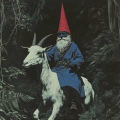 Александр Василенко, 20.03, Санкт-Петербург