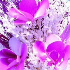 Dinara Marahanova, 18.02.1990, Сарыагаш