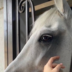 Kira Litvinova, 09.01.1998, Алматы