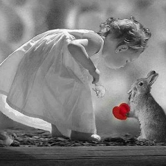 Мадина Магомадова, Грозный