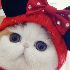 Илина Сабитова, 03.09.1901, Сургут