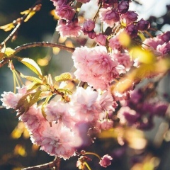 Евгения Соколова, 07.06.1998, Степногорск