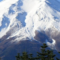 Роман Иванов, Москва