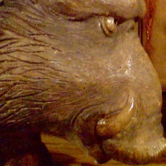 Иван Зверев, 17.07, Санкт-Петербург