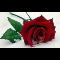 Nigina Shamshiyeva, 08.09.1989