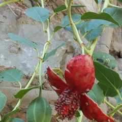 Эмилия Габбасова, 16.07.1989, Казань