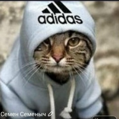 Дмитрий Тушов, 17.06, Санкт-Петербург