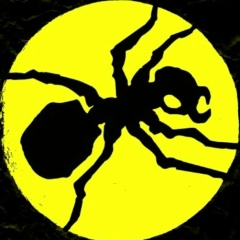 Петр Янковецкий, 04.06, Санкт-Петербург