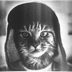 Костя Иванов, 09.06.1990, Киев