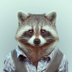 Дулат Булебаев, 13.01.1996, Алматы