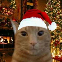 Антон Жданов, 05.04