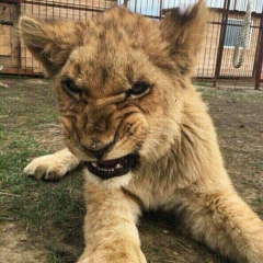 Meirzhan Adilov, 10.08, Алматы