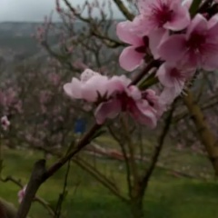 Людмила Гаркуша, Липецк