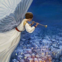 Александра Кожевникова, 01.12.1986, Санкт-Петербург