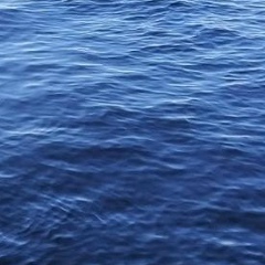 Марина Яцкая, 03.12, Москва