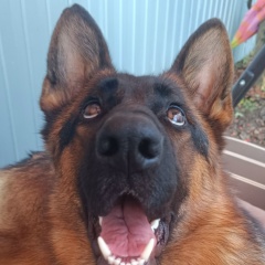 Виктор Викторович