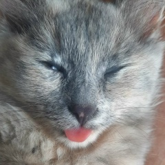 Тимур Исаков, 15.08, Москва