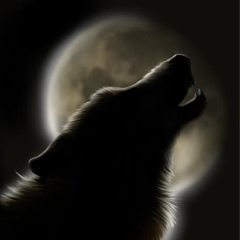 Halid Baysarov, Москва