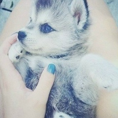 Зере Бердибек, 15.10.1994