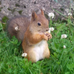Вера Некрасова, 07.10, Tampere