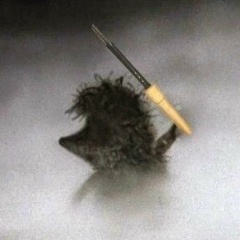 Сергей Загоруйко, 17.08.1985, Байконур