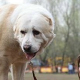 Елена Синева, 22.06, Москва