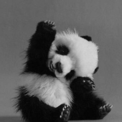 Ася Волкова, 16.06, Химки