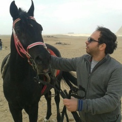 Tito Zone, 03.08, Cairo