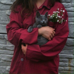 Газиза Кали, 16.09.1993, Караганда