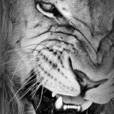 Володя Смирнов, 01.01.1995