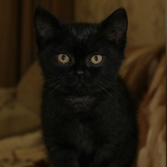 Эдуард Гаипов, 16.06.1980, Приморск