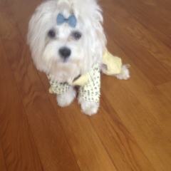 Олеся Бакай, 17.05, Львов