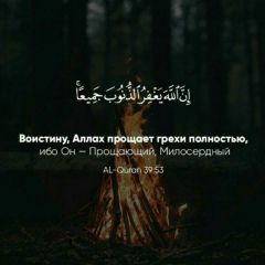 Рахим Джамалуев, 08.02, Грозный