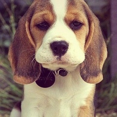 Valeria Matveeva, 19.07